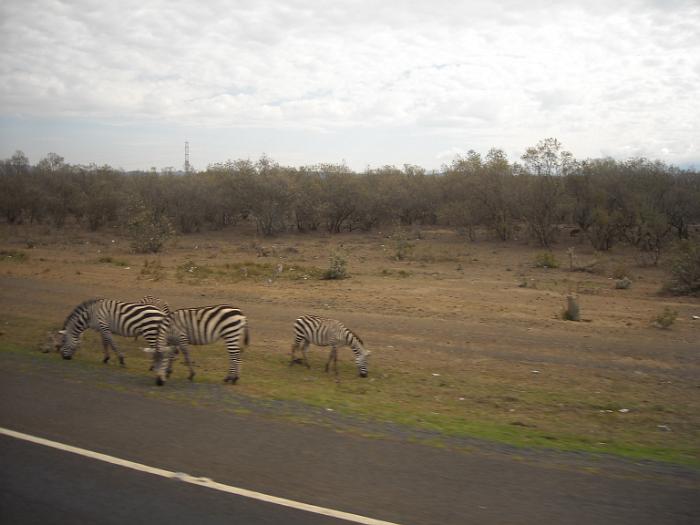 034_alweer onderweg ter hoogte van Naivasha